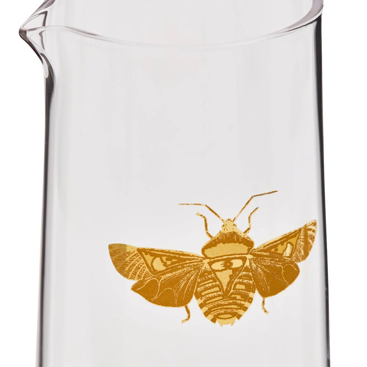 Creatures of Curiosity Carafe with Tumbler - Image 4