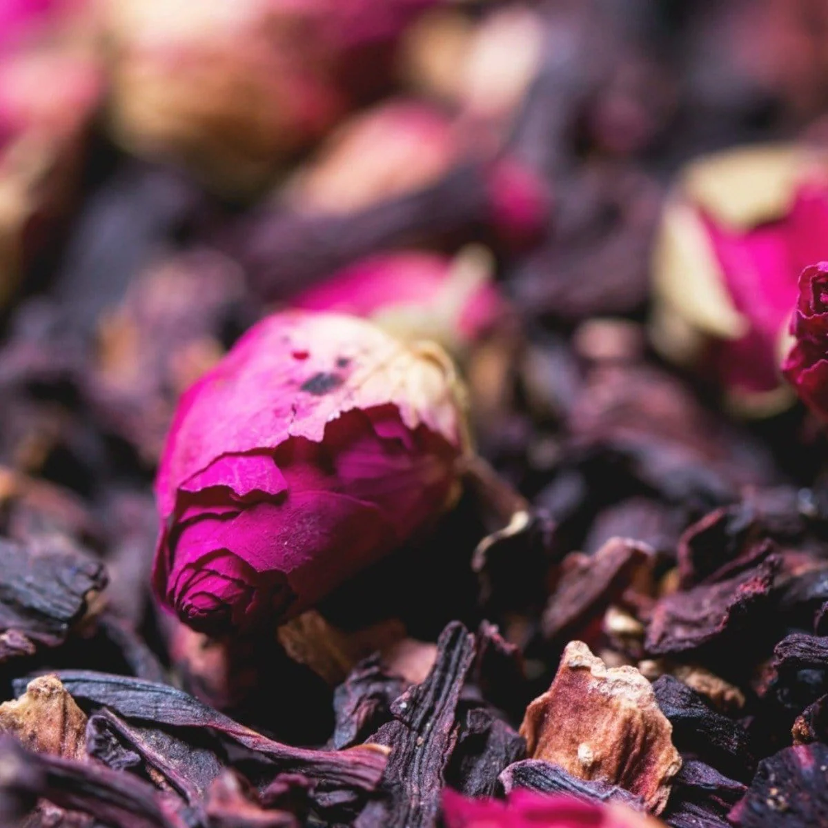 Gypsy Rose Black Tea - Image 5