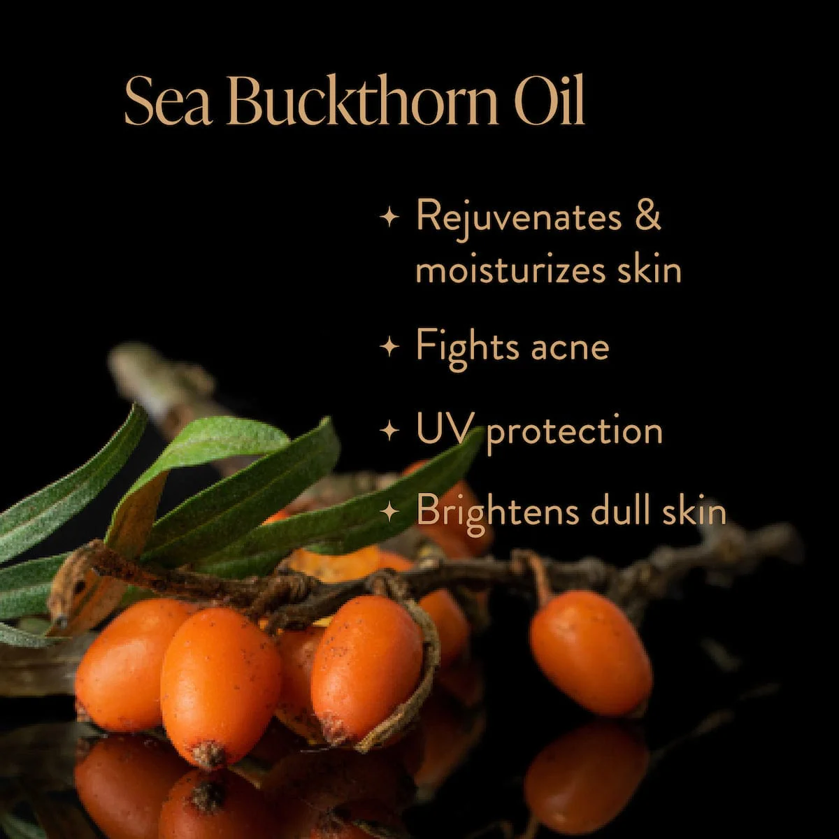 Skinprayer Botanical Beautea Oil for Face, Neck, Decollete - Image 11