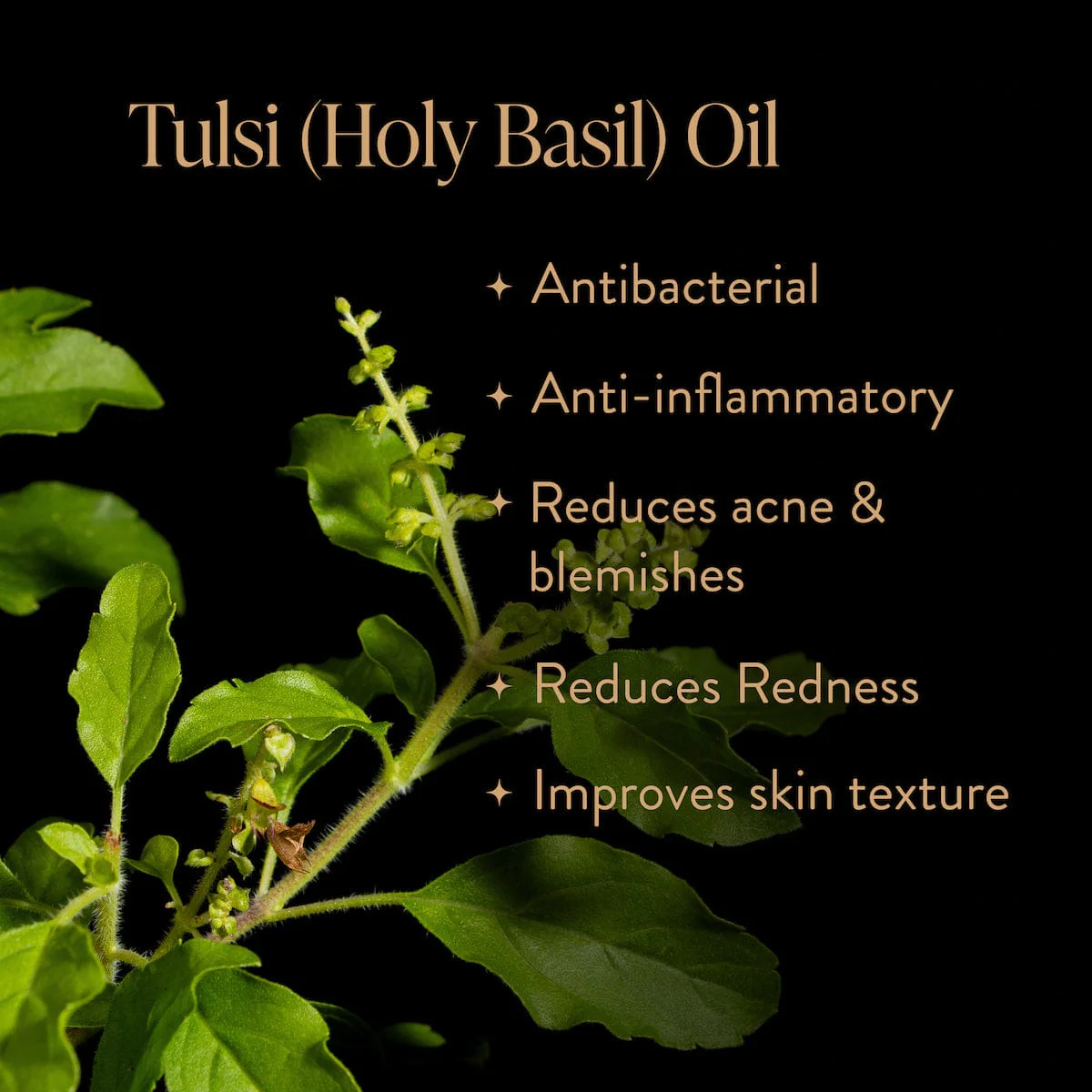 Skinprayer Botanical Beautea Oil for Face, Neck, Decollete - Image 4