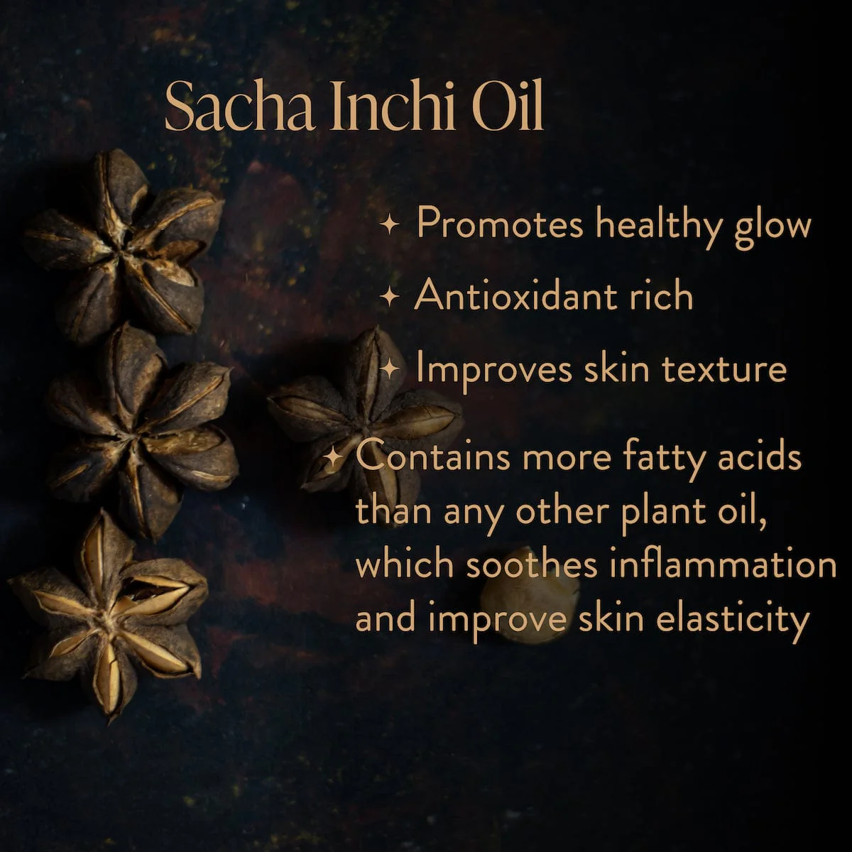 Skinprayer Botanical Beautea Oil for Face, Neck, Decollete - Image 5