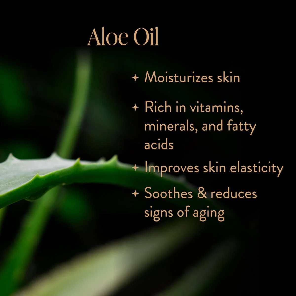 Skinprayer Botanical Beautea Oil for Face, Neck, Decollete - Image 8