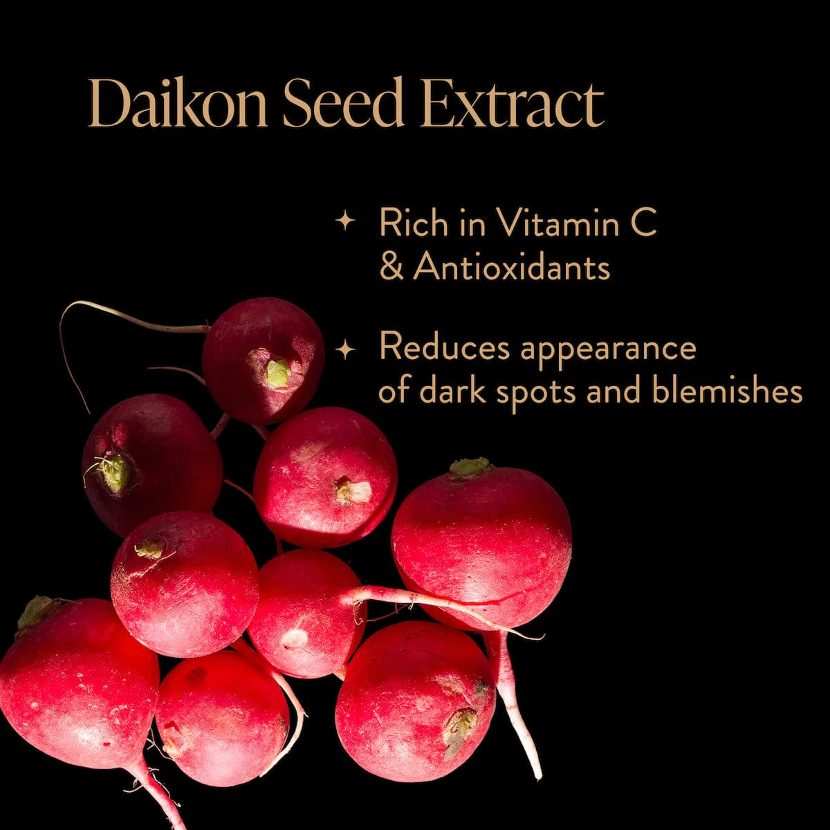 Skinprayer Botanical Beautea Oil for Face, Neck, Decollete - Image 9