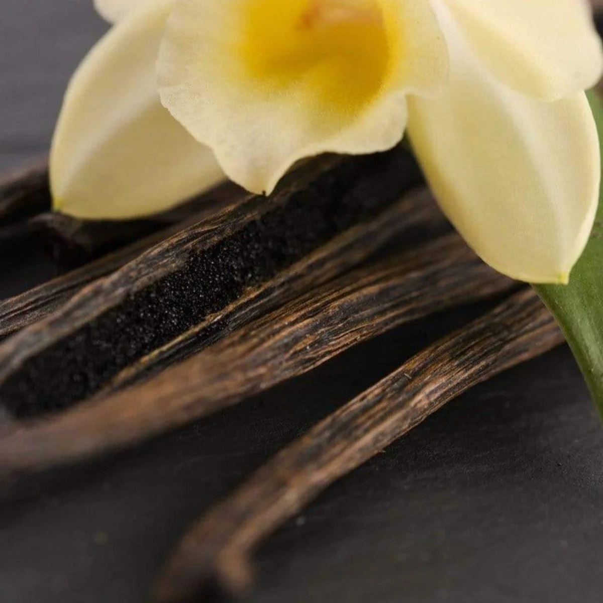 Vanilla Earl Grey: Tea for the Lushness of Life - Image 4